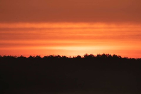 Sunrise over the forest. Pobierowo, Poland