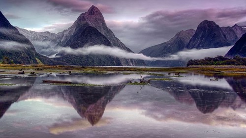 New Zealand, South Island, Milford Sound, Landscape, Waters