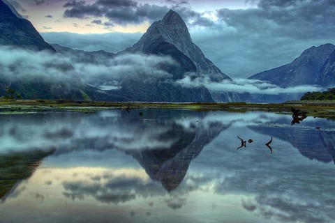 New Zealand, South Island, Milford Sound, clouds of fog, morning light, landscape, water