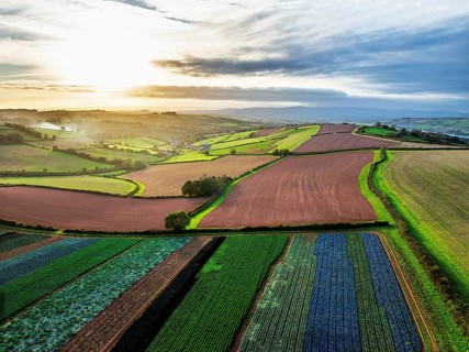 Colours of autumn Fields and Farms over Sheldon from a drone, Torbay, Devon, England, United