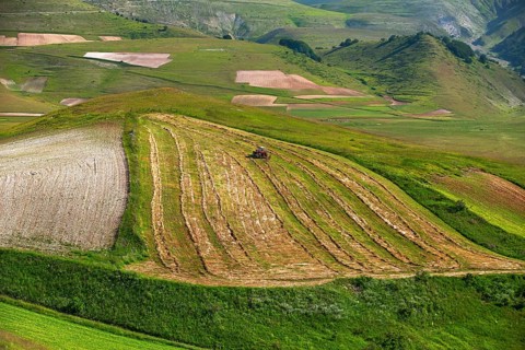 The lentil bloom in Castelluccio di Norcia, nestled in the Sibillini Mountains of the Italian