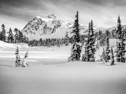 A breathtaking view of a snow covered mountain, surrounded by tall evergreen trees under a dynamic