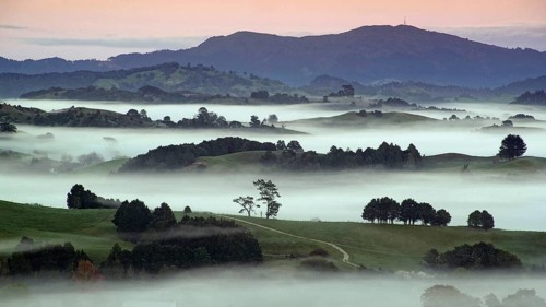 New Zealand, North Island, landscape in morning fog, North Island, North Island, New Zealand