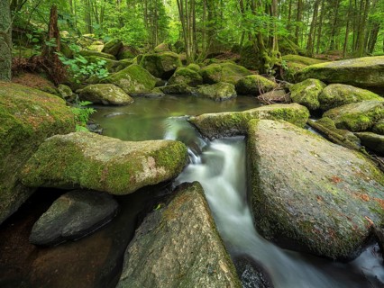 The Höllbach in the Hölle Nature Reserve flows through green forest and large moss-covered rocks,