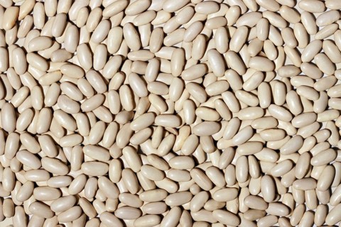 A closely packed, high-resolution image showing a multitude of white beans covering the entire