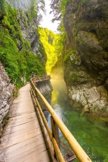 Scenic view of a wooden walkway along the radovna river, surrounded by steep cliffs and lush