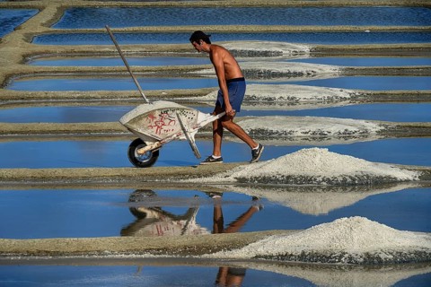 France, Brittany, A man extracting salt in Salants de Guerande, Salants de Guerande, Brittany,