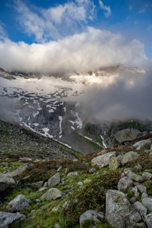 Cloudy mountain landscape with blooming alpine rose, view of rocky and glaciated mountains with