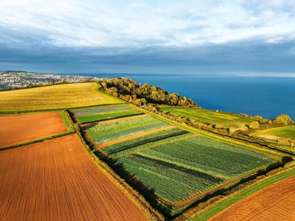 Fields and Farms at evening sun from a drone, Shaldon, Torquay, Devon, England, United Kingdom