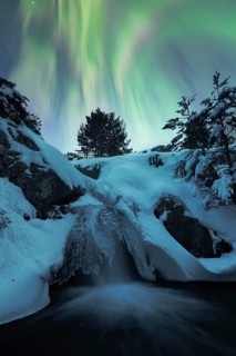 The serene beauty of the northern lights arching through a starry sky above a snow-covered