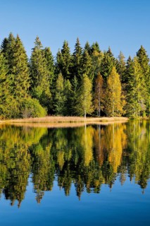 Glorious autumn day on the shores of the moorland lake Étang de la Gruère in the canton of Jura,