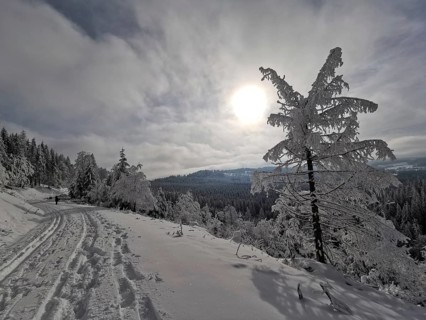 Snowy landscape with path under the sun, winter peace, Rennsteig, Thuringian Forest