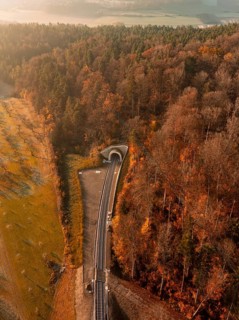 Aerial view of a forest in autumn with tracks and a tunnel illuminated by warm sunlight, new tunnel