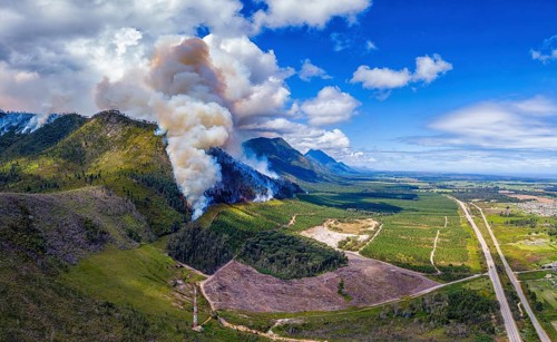Landscape in South Africa, forest fire, fire, smoke, flames, burning forest, N2, Kou-Kamma Ward 6,