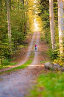 Woman riding her ebike through the autumn forest, Black Forest, Gechingen, Germany