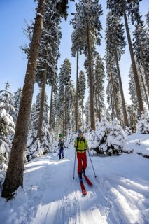 Ski tourers and snowshoe hikers in a snowy winter forest, ascent to the Teufelstättkopf,