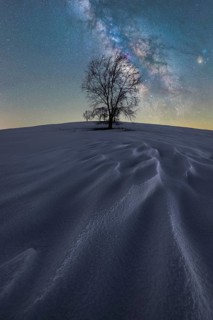 A solitary tree stands on a snow-covered hill under a vibrant night sky in Iceland The Milky Way