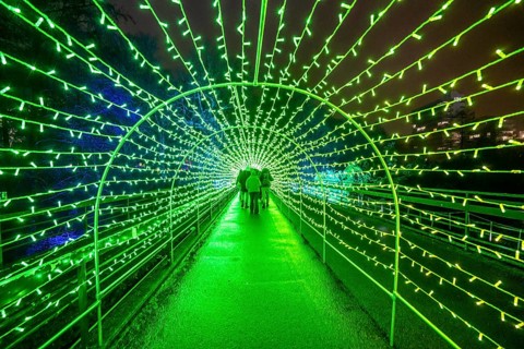 Park lights, events in winter, in the Grugapark in Essen, many different light installations,