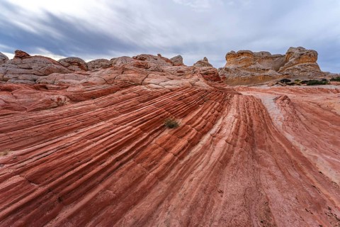 Striking red rock formations and swirling sandstone patterns dominate the landscape at White Pocket