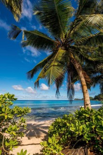 Petit Police Bay Beach, Mahe, Republic of Seychelles, Indian Ocean