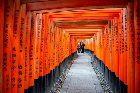 Walk through hundreds of red traditional torii gates, Fushimi Inari Taisha, Shinto Shrine, Fushimi