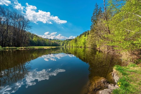 Spring on the river Saale, green forest and clouds are reflected, Burgk, Thuringia, Germany