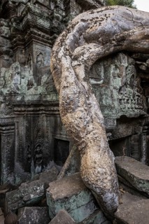 Ta Prohm, Angkor Wat, Angkor, UNESCO World Heritage Site, Siem Reap, Cambodia, Indochina, Southeast