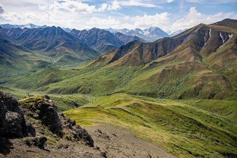 Tundra and mountainous landscape of the Alaska Range, Sable Pass, Denali National Park and