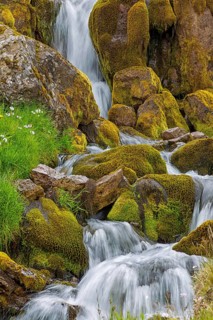 Waterfall, stream, moss, stones, small waterfalls, Iceland, Hnjótur, Vestfirðir, Iceland