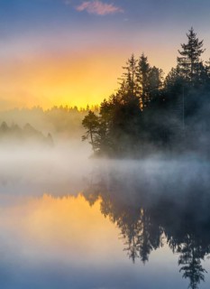 Atmospheric sunrise with wafts of mist over the mirror-smooth moorland lake Étang de la Gruère in