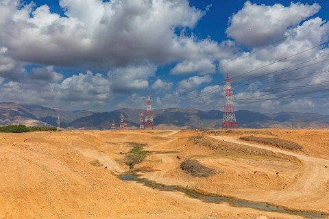 Landscape Oman, Raysut Waste Water Treatment Plant, Tree, Palm, Building, Steppe Eagle, Aquila