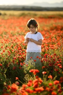 A young girl gently holds a flower while standing amidst a lush field of Papaver rhoeas, commonly