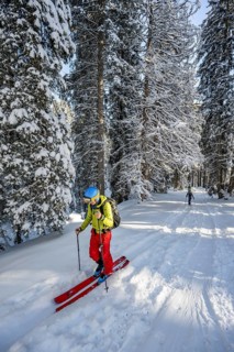 Ski tourer in snowy winter forest, ascent to Teufelstättkopf, Snowy mountain landscape, Ammergau