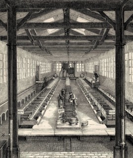 Fish farming at Huningue, Haut-Rhin department, Alsace, France, 19th century