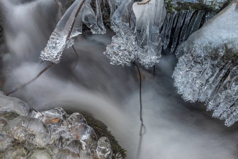 Branches are covered with ice near the river. The water flows gently and forms ice formations on