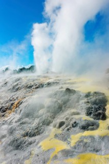 Prince of Wales and Pohutu geysers erupting, Te Puia Thermal Valley, Rotorua, Bay of Plenty, North