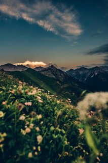 Hiking tour on the Hönig mountain in the Lechtal valley near Berwang in Tyrol, Austria
