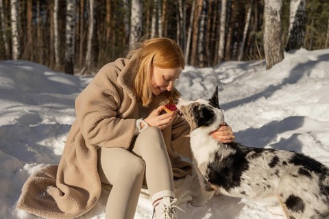 A woman and her Border Collie dog share a moment in a snowy forest. The woman, visible in full,