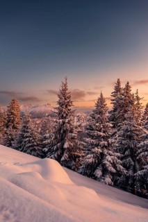 A Winter Wonder Land sunset hiking tour in the snow on the Edelsberg near Nesselwang in the Allgäu