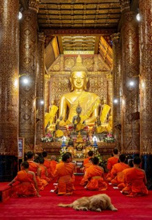 Buddhist monks praying at Wat Xieng Thong Sim ordination hall, Luang Prabang, Laos