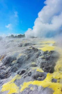 Prince of Wales and Pohutu geysers erupting, Te Puia Thermal Valley, Rotorua, Bay of Plenty, North