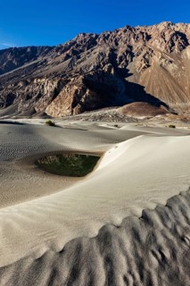 Sand dunes in Nubra valley in Himalayas. Hunder, Nubra valley, Ladakh
