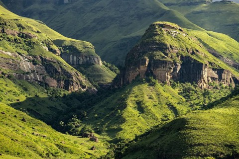 Detail, mountains and grasslands, Drakensberg National Park, KwaZulu Natal, South Africa
