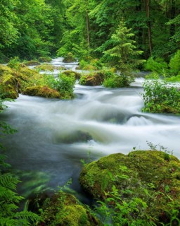 White water and rapids on the Trieb stream in the Triebtal nature reserve in Vogtland, Plauen,