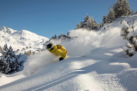 Dynamic freeride skiing in fresh powder snow with a skier in a yellow jacket navigating through a