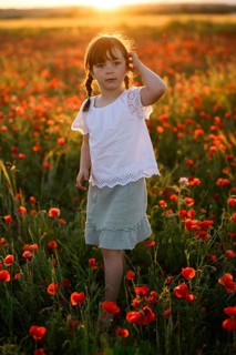 A young girl stands amid vibrant Papaver rhoeas, known as common poppy and red poppy, during a