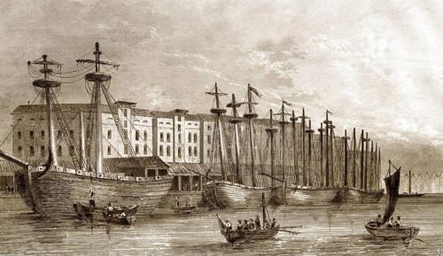 Die West India Docks, Isle of Dogs in London, England, 19. Jahrhundert