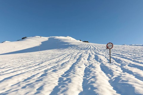 A serene snowy landscape unfolds under a clear blue sky, with a solitary road sign standing amidst