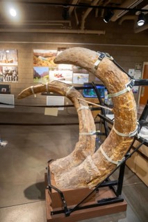 Vernal, Utah, The Utah Field House of Natural History State Park Museum displays dinosaur models,