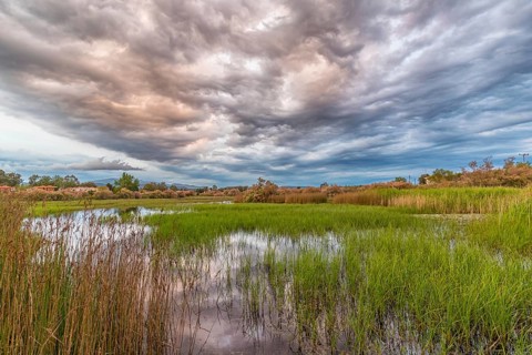 Landscape Greece, reeds, Kalloni Pool, Lesbos Island, Greece, cloudy mood Lesbos